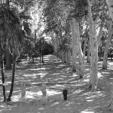 Chateau Rieutort Gites Saint-Pargoire Dış mekan fotoğraf